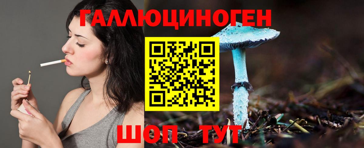 Сызрань  Галлюциногенные грибы Psilocybine cubensis  Вход с VPN 